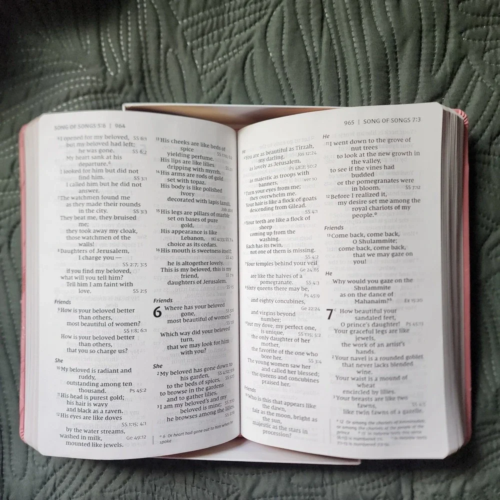 NIV‎ Bible Giant Print Edition, Gold Glid, Pink